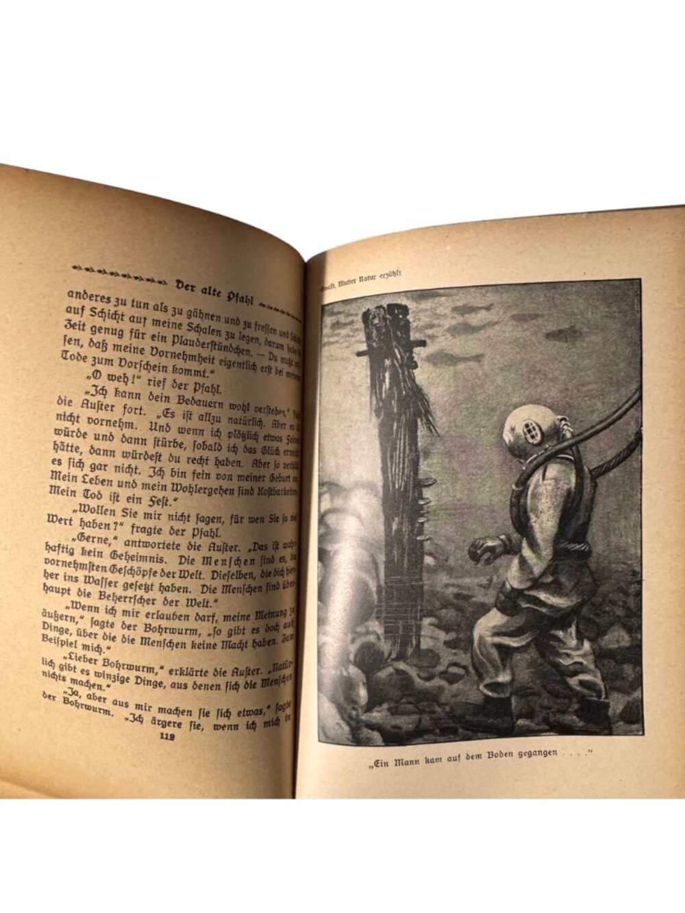"Mother Nature Tells" By Karl Ewald Hardcover Book German Mutter Natur Erzählt - Picture 11 of 16